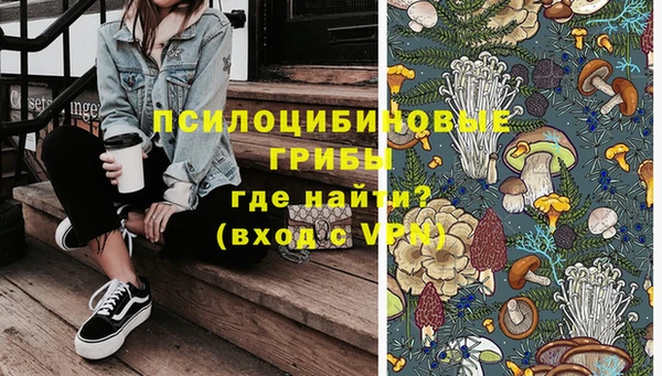 хмурый Бородино
