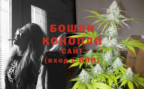 амф Бронницы