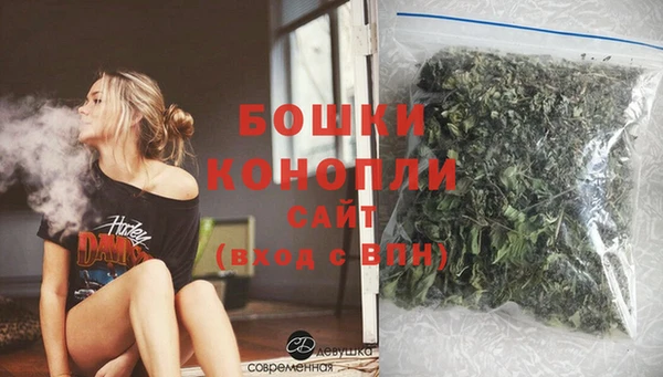 хмурый Бородино