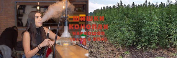 хмурый Бородино