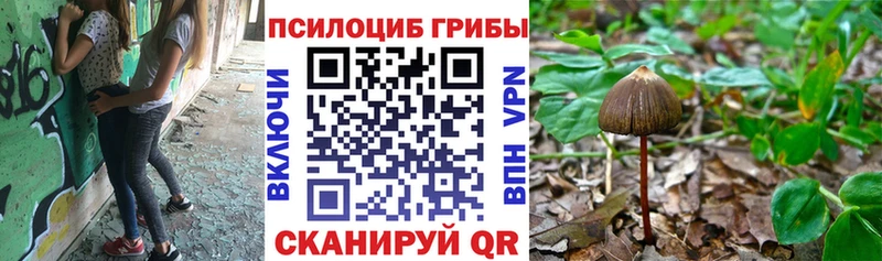 Галлюциногенные грибы ЛСД  Сыктывкар 